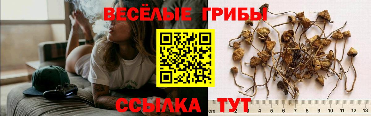 Галлюциногенные грибы мухоморы  Вход с VPN  Кизляр 